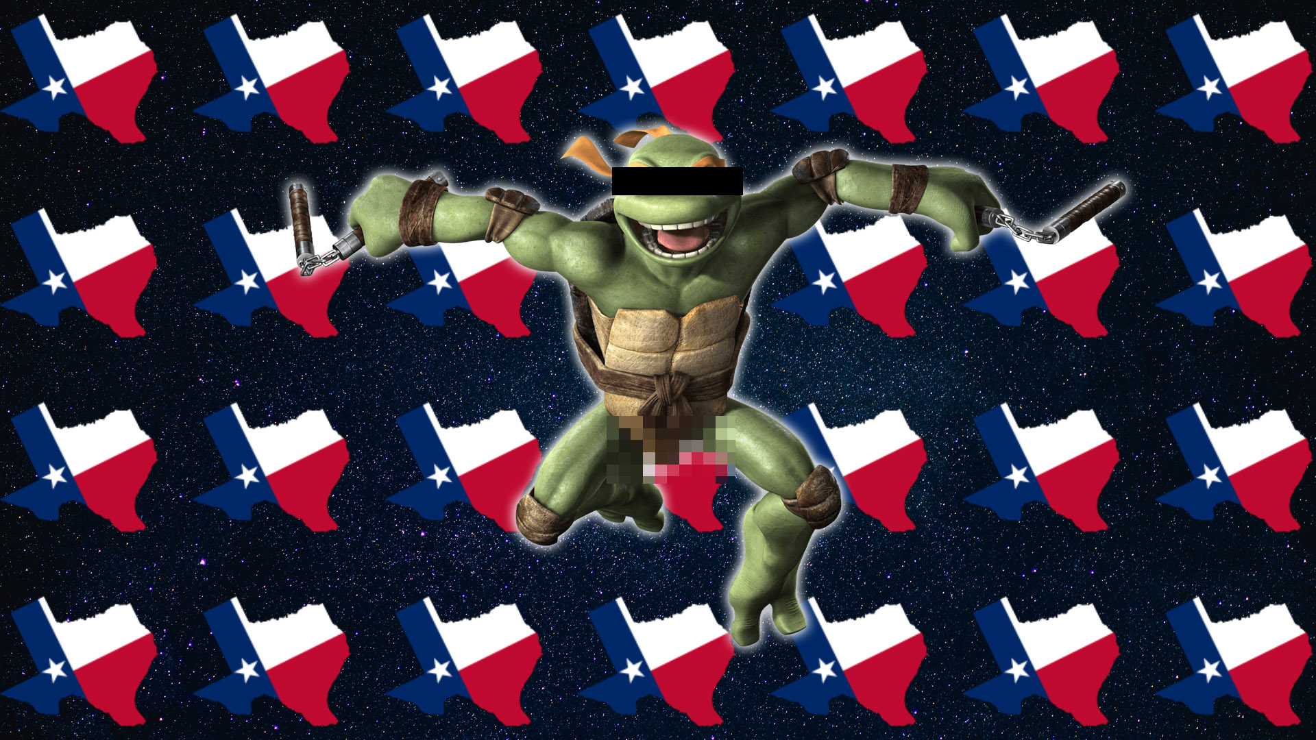 space force texas diego tortoise